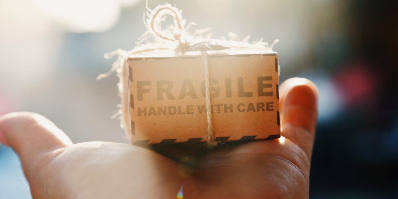 8 Tips for Choosing The Best Parcel Delivery Services on a Budget