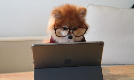 Need to save money on your car insurance? Go online!