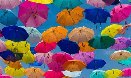 What is let property insurance?
